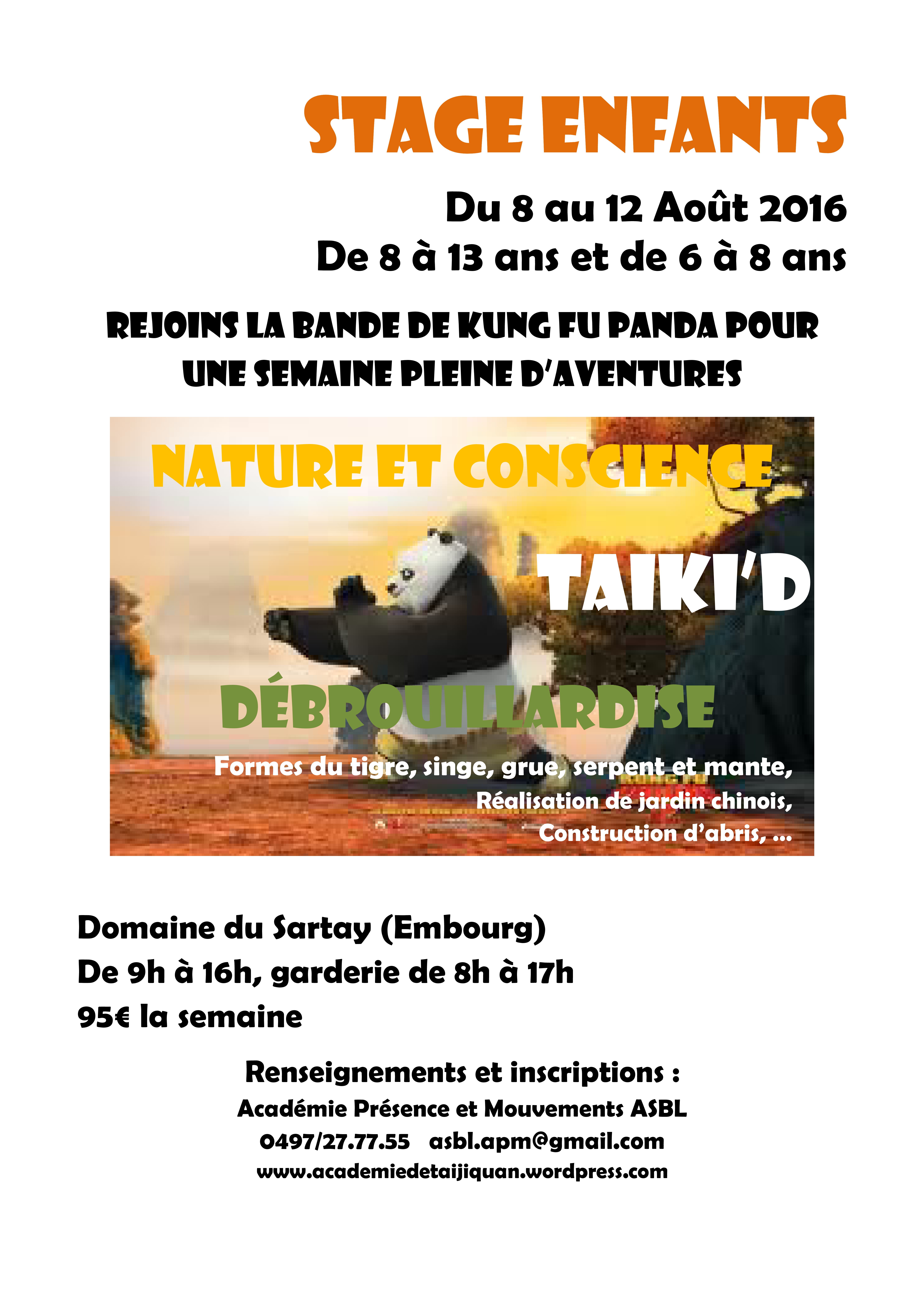 été 2016 TaiKi'd 2 affiche